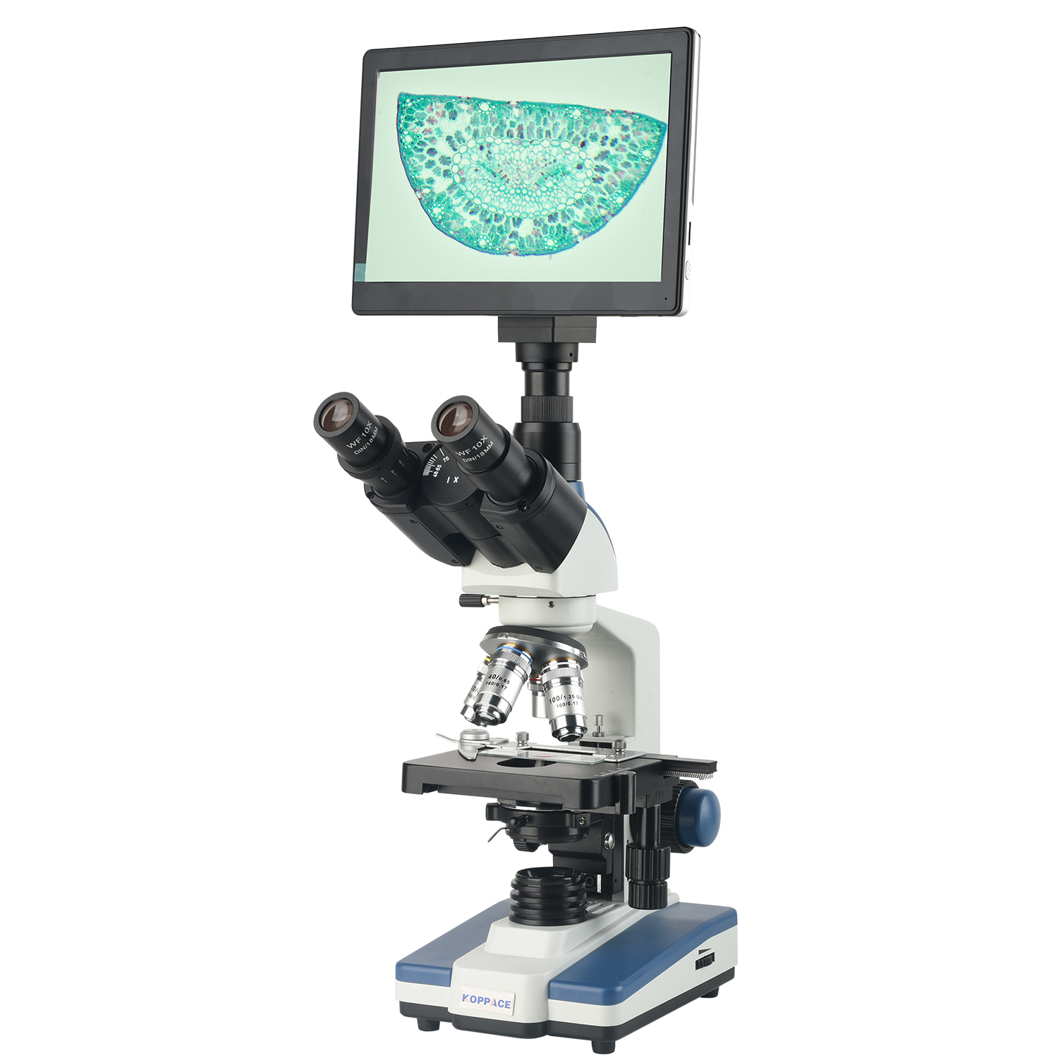 Microscope Compound 40X - KOPPACE 40X-2500X 전자 복합 실험실 현미경