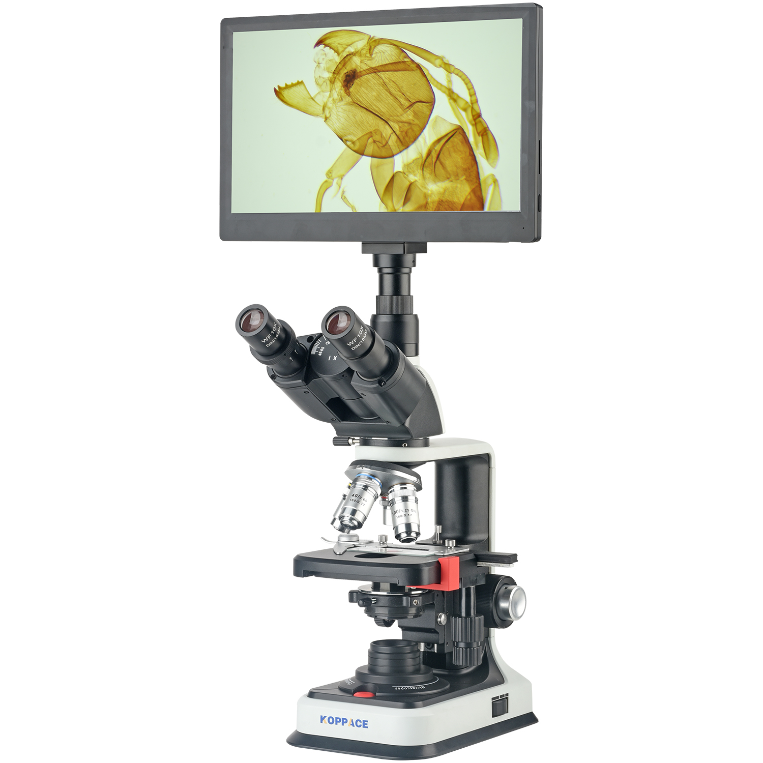 Microscope Compound 40X - KOPPACE 40X-2500X 전자 복합 실험실 현미경