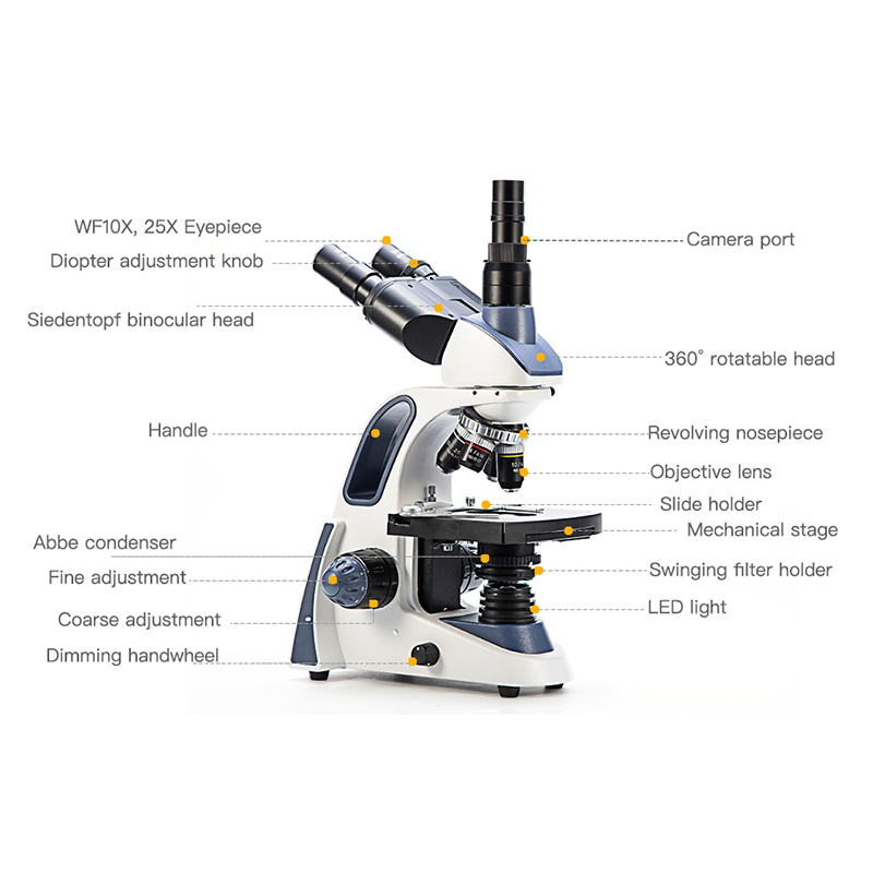 SWIFT SW380T 복합 삼안 현미경, 40X-25 - Microscope Compound 40X 리뷰 및 가격