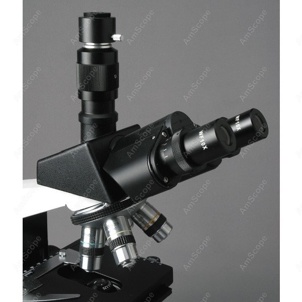 AmScope T490 시리즈 동시초점 생물학적 삼안  - Microscope Compound 40X 리뷰 및 가격