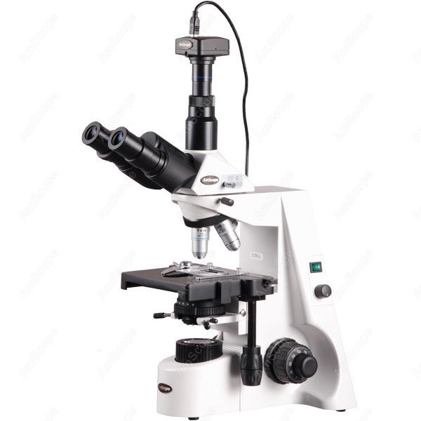 AmScope 40X-2500X 인피니티 콜러 생물학적 - Microscope Compound 40X 리뷰 및 가격