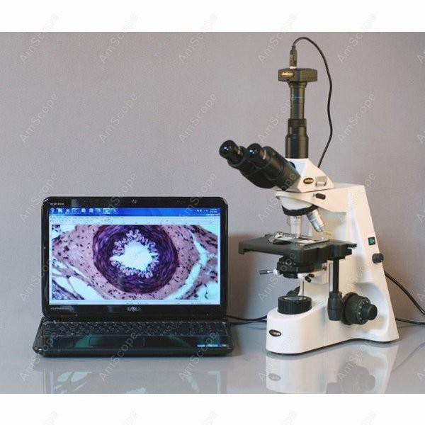 AmScope 40X-2500X 인피니티 콜러 생물학적 - Microscope Compound 40X 리뷰 및 가격