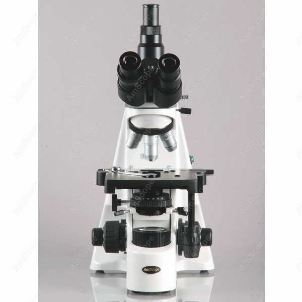 AmScope 40X-2500X 인피니티 콜러 생물학적 - Microscope Compound 40X 리뷰 및 가격