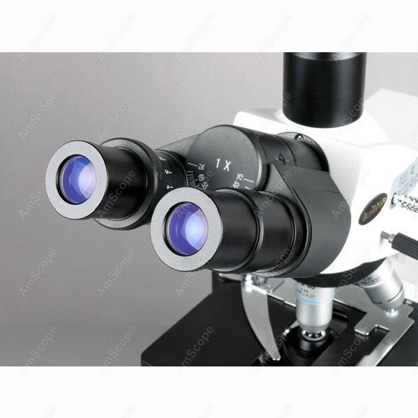 AmScope 40X-2500X 인피니티 콜러 생물학적 - Microscope Compound 40X 리뷰 및 가격