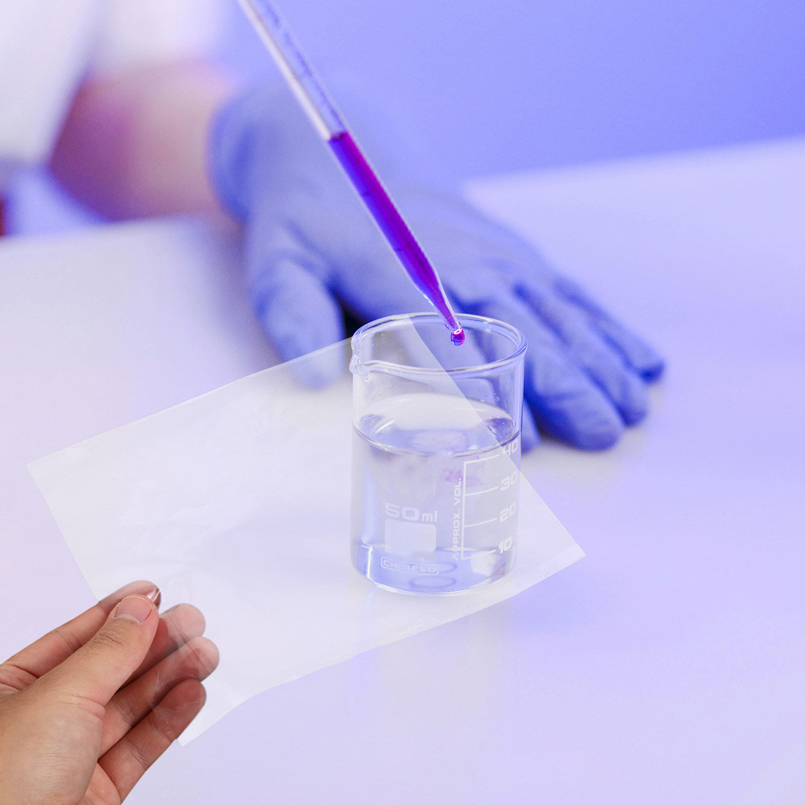 10장 반투과성 멤브레인 과학 실험실 삼투압 실험용 셀 - Science Experiment 리뷰 및 가격
