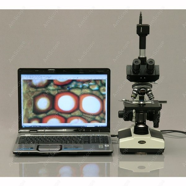 암스코프 T390 시리즈 생물 현미경 삼안 복합 현미경 - Microscope Compound 40X 리뷰 및 가격